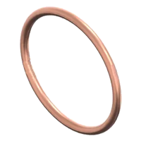 Koper ringen Festaplan