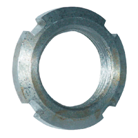 Borgmoeren Drukbussen / Trekbussen