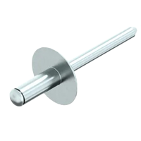 Grote Platbolkop DIN 7337 Aluminium/RVS A2