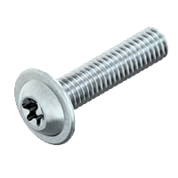 ISO 7380-2 Laagbolkopbout met torx en flens