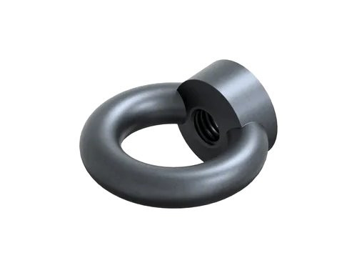 Oogmoer DIN 582 M10 Staal C15E Blank Gesmeed