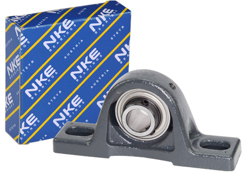 Foto van NKE Lagerblok Staand RASEY35 N (35mm) NKE Lagerblok Staand RASEY35 N (35mm)