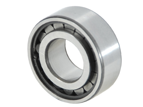 INA Cilinderlager Eenrijig SL192305 (25x62x24mm)