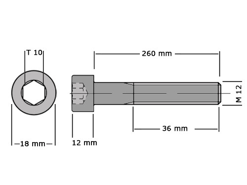 Cilinderbout met binnenzeskant DIN 912 M12x260 8.8 Verzinkt