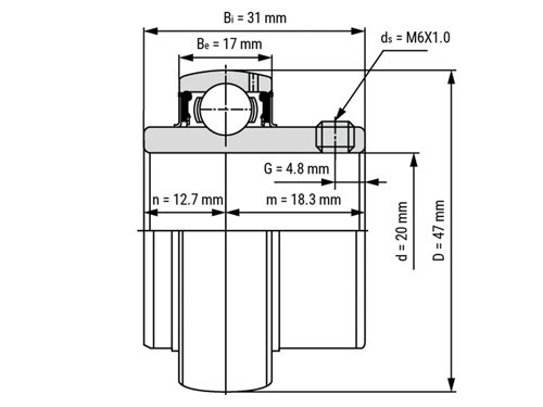 IBB Insert Lager AS204/SB204 (20mm)