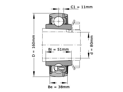FAG Insert Lager UK218 (80x160x51mm)