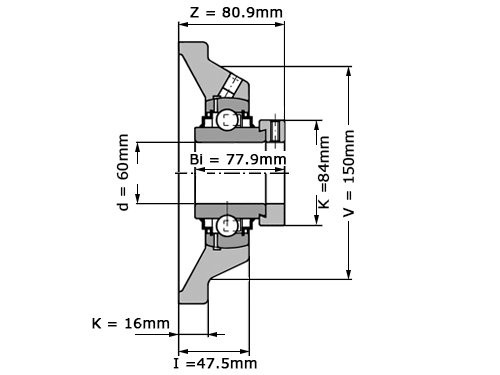 Foto van INA Lagerblok Vierkant RCJ60 N (60mm) INA Lagerblok Vierkant RCJ60 N (60mm)
