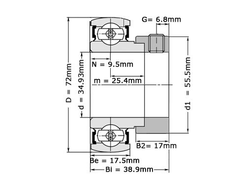 NTN Insert Lager AEL207-106 D1 W3 (34.93mm)
