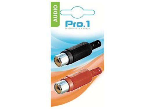 Tulp contra rood/zwart