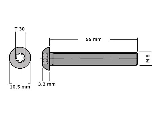 Laagbolkopbout met torx ISO 7380-1 M6x55 T30 RVS A2