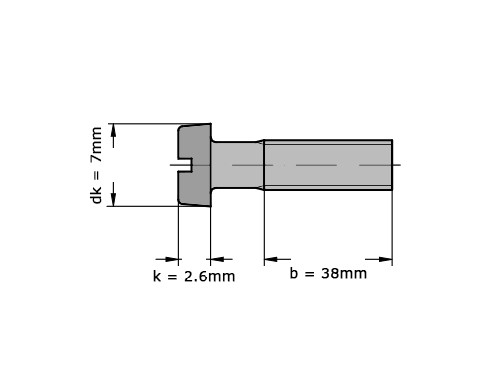 Cilinderschroef met zaaggleuf DIN 84 M4x55 Verzinkt