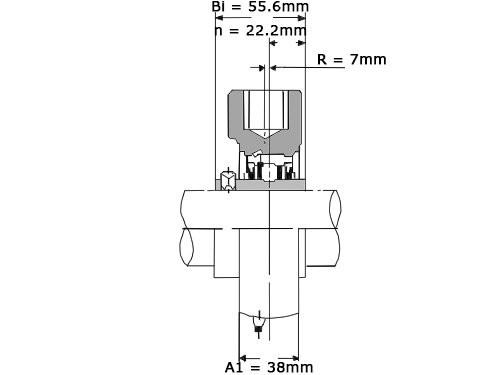 Foto van NSK Lagerblok Span UCHB211 (55mm) NSK Lagerblok Span UCHB211 (55mm)