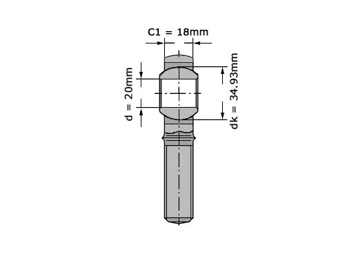 INA Stangkop GAKR20 PW (20x50x25mm)