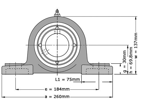 NTN Lagerblok Staand UCPX11 D1 (55mm)