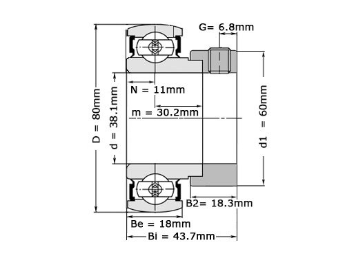 Foto van NTN Insert Lager AELS208-108 D1N (38.1mm) NTN Insert Lager AELS208-108 D1N (38.1mm)