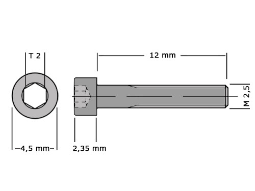 Cilinderbout met binnenzeskant DIN 912 M2.5x12 RVS A2