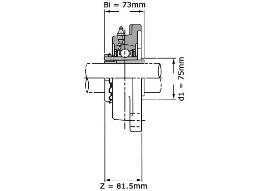 NSK Lagerblok Vierkant UKF315 D1 (65mm)