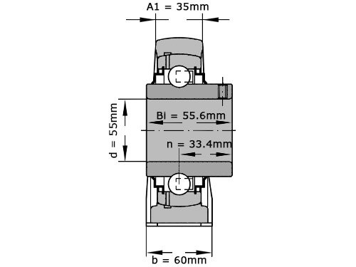 INA Lagerblok Staand RASEY55 (55mm)
