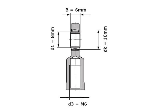INA Stangkop GIL6 UK (6x21x6mm)