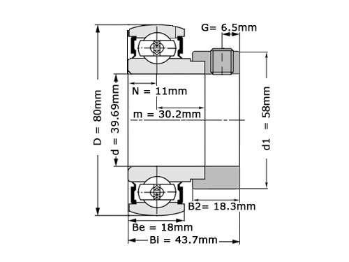 NTN Insert Lager AEL208-109 D1 (39.69mm)