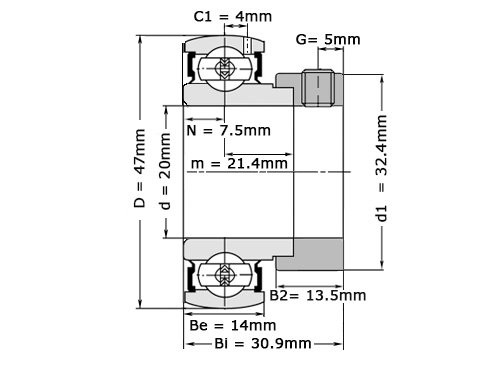 NTN Insert Lager M-AEL204 D1 (20mm)