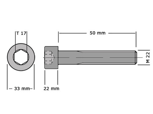 Cilinderbout met binnenzeskant DIN 912 M22x50 8.8 Verzinkt