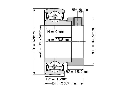 NTN Insert Lager AEL206-104 D1 W3 (31.75mm)
