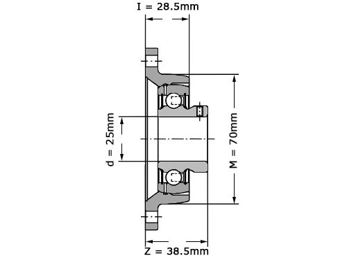 INA Lagerblok Ovaal PCJTY25 XL N (25mm)