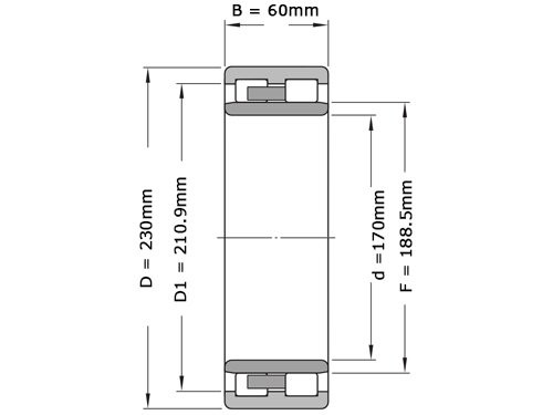 SKF Cilinderlager Tweerijig NNU4934 BK SPW33 (170x230x60mm)