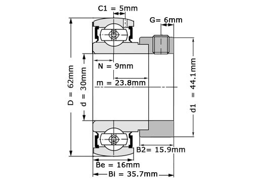 NTN Insert Lager AELS206 D1N W3 (30mm)