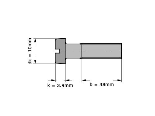 Cilinderschroef met zaaggleuf DIN 84 M6x65 Verzinkt