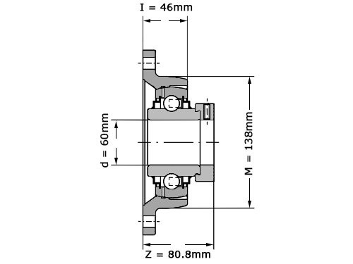 Foto van INA Lagerblok Ovaal RCJT60 N (60mm) INA Lagerblok Ovaal RCJT60 N (60mm)