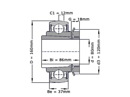 NTN Insert Lager UK218 D1 (80mm)