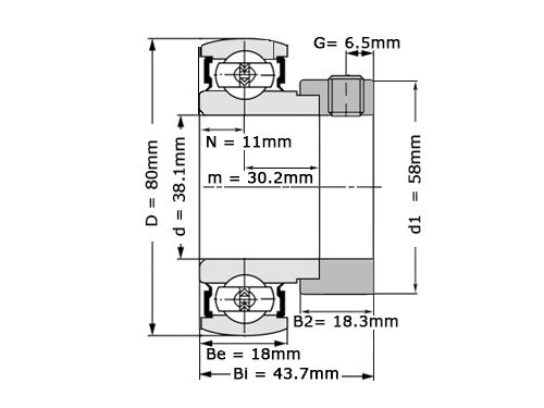 NTN Insert Lager AEL208-108 D1 W3 (38.1mm)