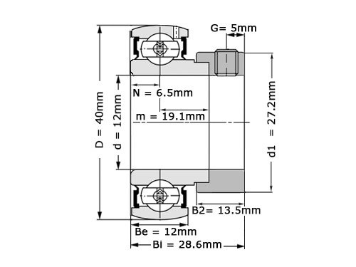 NTN Insert Lager AEL201 D1 W3 (12mm)