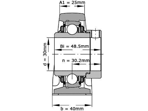 INA Lagerblok Staand TASE30 XL N (30mm)