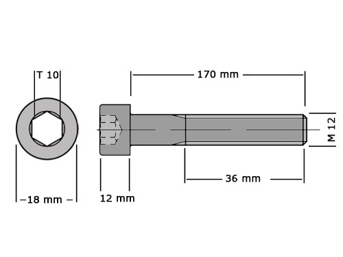 Cilinderbout met binnenzeskant DIN 912 M12x170 8.8 Verzinkt