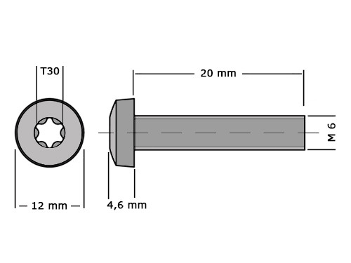 Bolcilinderschroef DIN 7985 M6x20mm T30 RVS A2