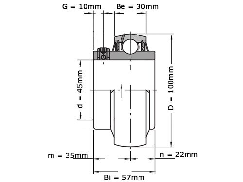IBB Insert Lager UC309 (45mm)