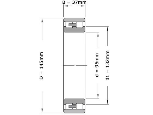 FAG Cilinderlager Tweerijig NN3019 D K TVP SP XL (95x145x37mm)