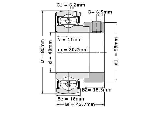 NTN Insert Lager AELS208 N (40mm)