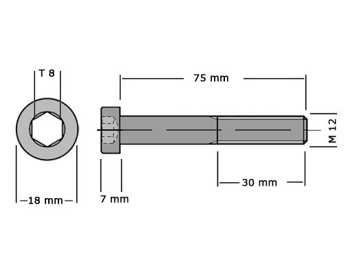 Lage cilinderbout met binnenzeskant DIN 7984 M12x75 RVS A2