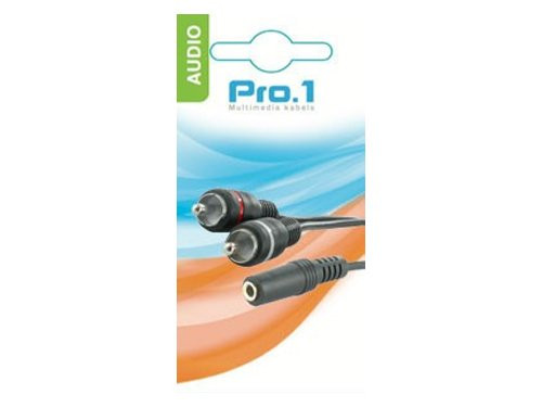 Audio 3,5 contra stereo ->2 tulp male 20cm