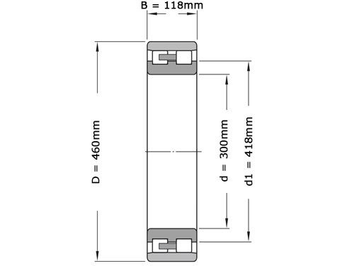 FAG Cilinderlager Tweerijig NN3060 AS K M SP (300x460x118mm)