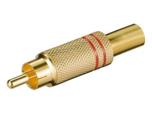 Tulp stekker verguld rood