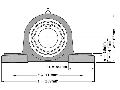 NTN Lagerblok Staand UCPX05 D1 (25mm)