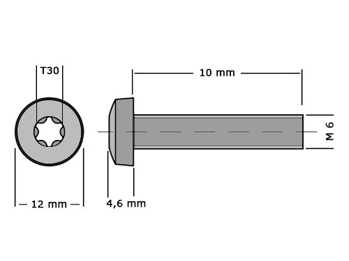 Bolcilinderschroef DIN 7985 M6x10mm T30 RVS A2