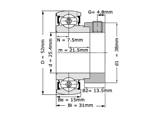 NTN Insert Lager AELS205-100 D1N W3 (25.4mm)
