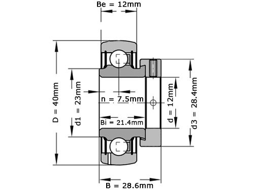 INA Insert Lager RAE12 NPP FA106