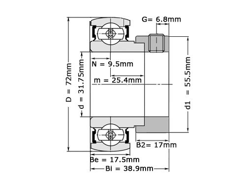 NTN Insert Lager AEL207-104 D1 (31.75mm)